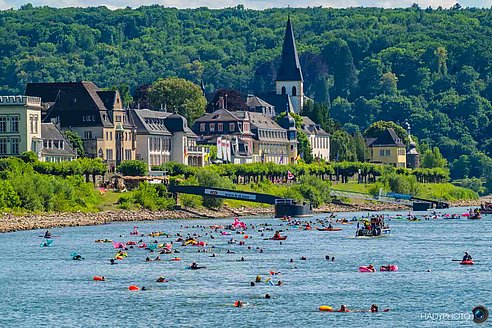 Schwimmer*innen beim Rheinschwimmen vor Unkel