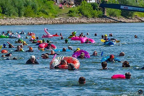Schwimmer*innen im Wasser vor Unkel beim Rheinschwimmen